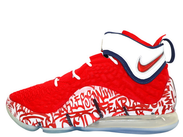 LEBRON 17 FP