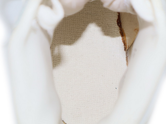 LEGEND CANVAS HI 4404-h-21843-22 - 13