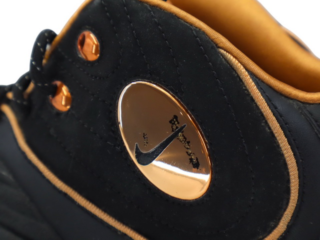 AIR PENNY 2 392091-001 - 9
