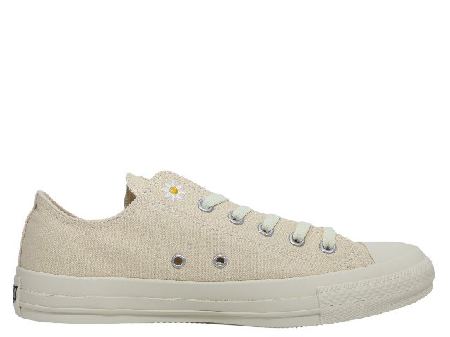 ALL STAR DAISIES OX 1SE160 - 1