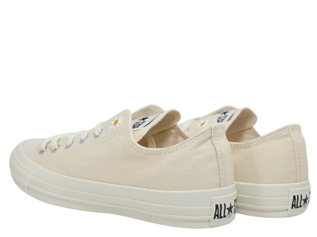 ALL STAR DAISIES OX 1SE160 - 3