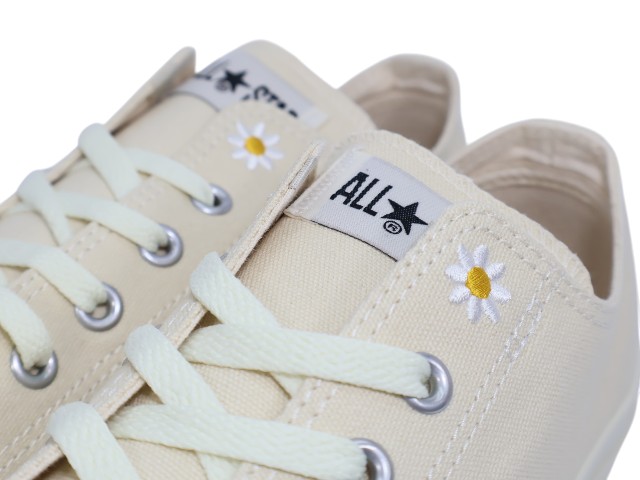 ALL STAR DAISIES OX 1SE160 - 4