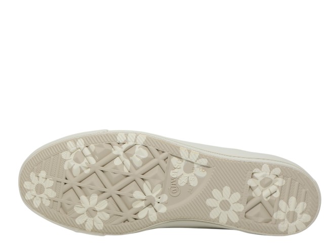 ALL STAR DAISIES OX 1SE160 - 5