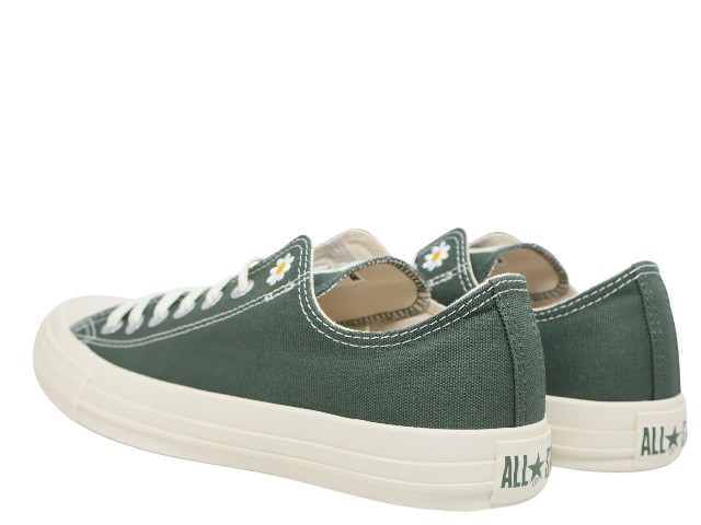 ALL STAR DAISIES OX 1SE161 - 3