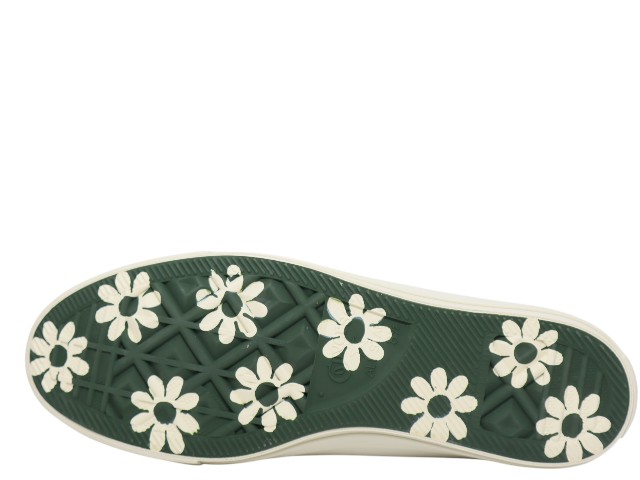 ALL STAR DAISIES OX 1SE161 - 5