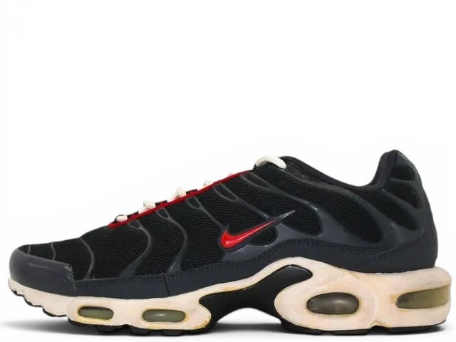 AIR MAX PLUS