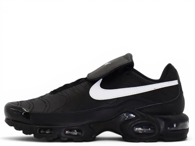 WMNS AIR MAX PLUS