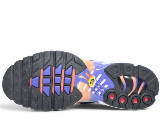 WMNS AIR MAX PLUS DZ3670-003 - 5