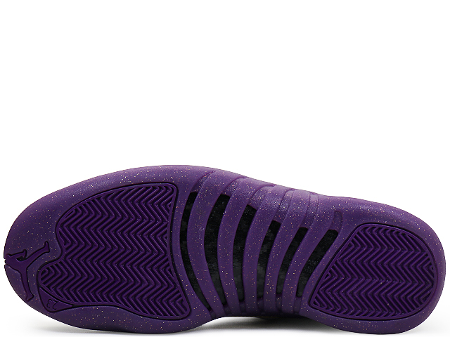AIR JORDAN 12 RETRO IW1218-098 - 6